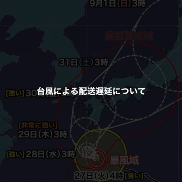 台風10号による配送遅延について