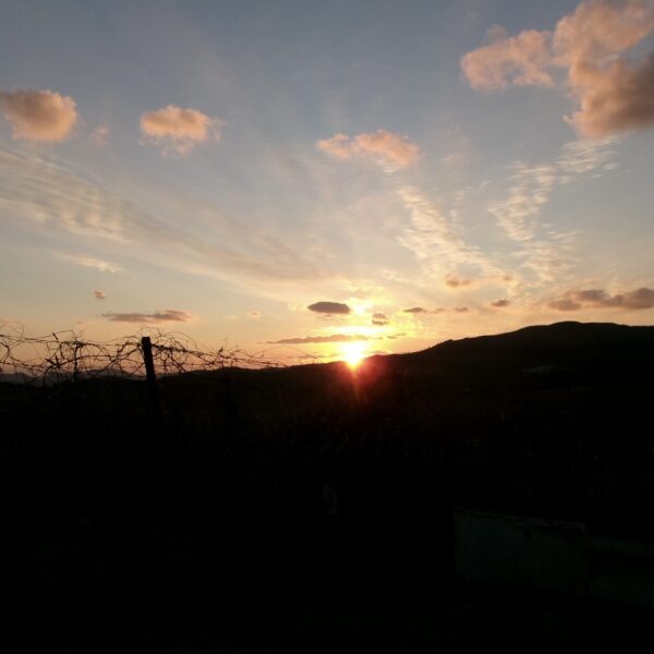 新年あけましておめでとうございます